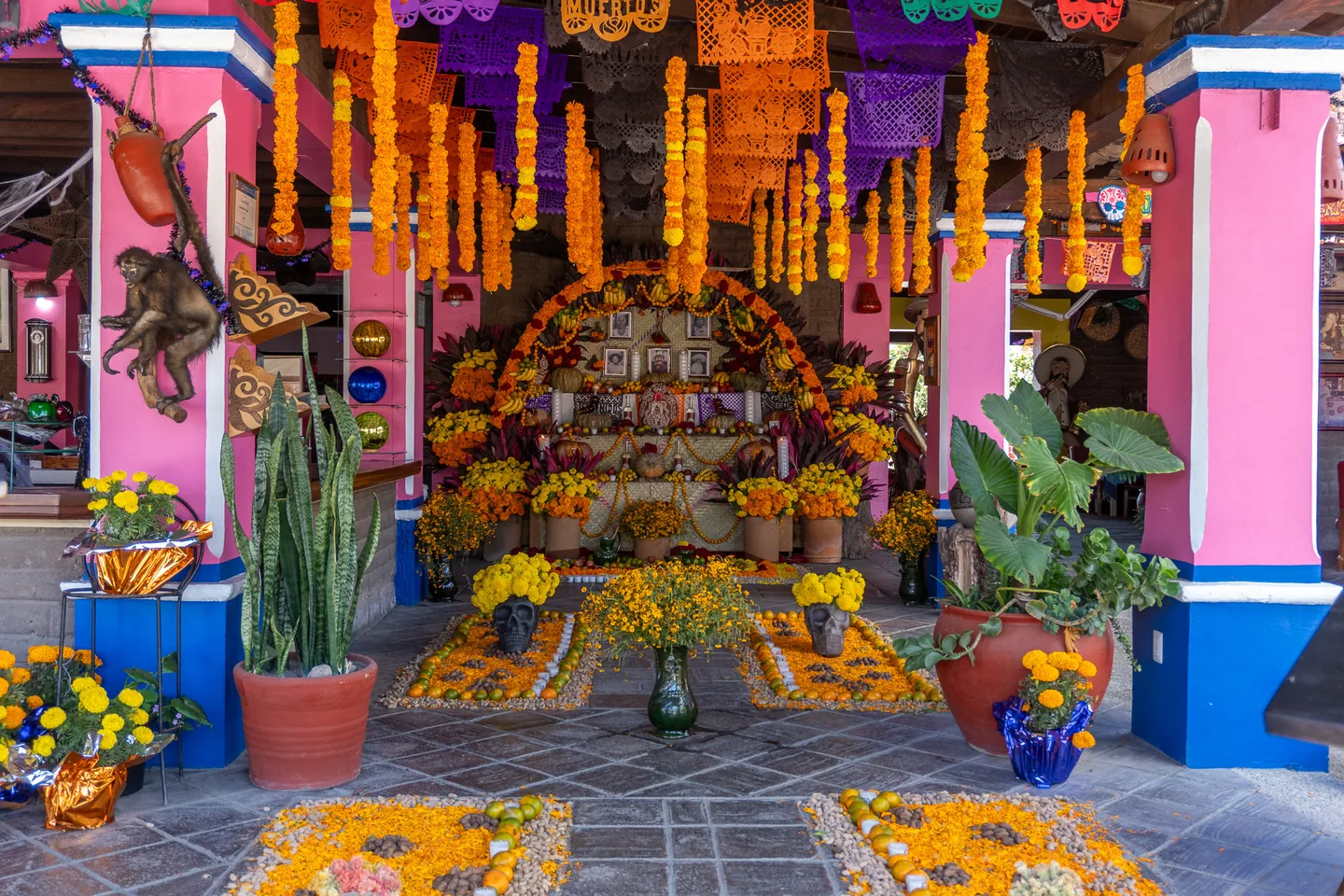 Altar de Día de Muertos entre columnas rosas, flores de cempasúchil y papel picado