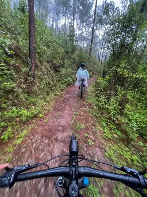Recorrido en bicicleta por un sendero húmedo del bosque