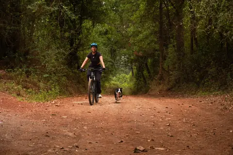 Ciclista y perro recorriendo el bosque