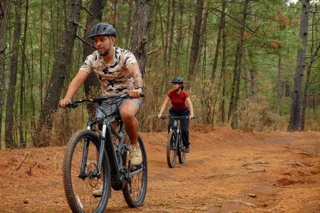 Dos ciclistas avanzando entre pinos